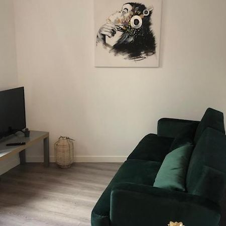 Appartement Un coin de verdure dans le centre de St Etienne à Saint-Etienne  Extérieur photo